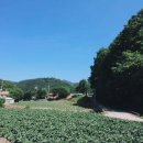 맑은물펜션민박;계곡식당 네이버블로그