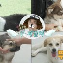 또또&I
