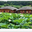 천일민박 이미지