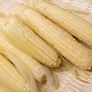 이로운한의원 이미지