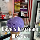 하와이 디저트 맛집 아이스크림 Dave&#39;s Ice Cream 우베 추천!