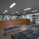 국제자동차운전학원