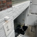 4551 | 궁금했던 성수 한식 레스토랑 선채성수 솔직 후기