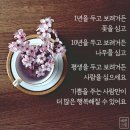 영남페인트 이미지