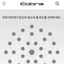 안동DS