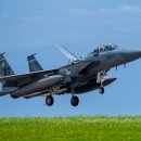 Re: F-15EX에 미사일 경보체계 추가 검토 이미지