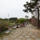 예쁜돼지 이미지