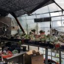 옥룡농장 이미지