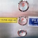 컴포즈커피광주수완대방대주점 | 수완지구 신상 스튜디오 가족사진 단체사진 증명사진 '너의하루 사진관'