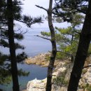 삼척해수욕장C Daum카페