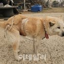 김영환 농장 이데일리