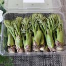 자연대로 이미지