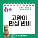 독산온동물병원 | 변비 탈출기! 노원 온 동물병원 관장 및 수액 치료 후기