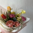 보태니컬 플랜(Botanical Plan)