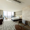 소노캄 고양 이미지