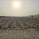 솔라공인중개사사무소 이미지