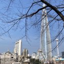 일식호림 이미지