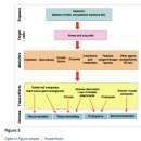 Re: 만성폐색성폐질환(COPD)의 자연치유, 미량원소 치유법 - 금연, 호흡운동, NAC, 글루타치온, 마그네슘, 포타슘, 비타민 A, C, D, B12, 카르니틴, 오메가3, 구 이미지