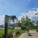 그늘막88 이미지