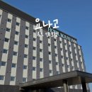 루트27 | 요나고 렌트카 주차 가능 호텔 추천 - 호텔 루트 인 숙박 후기