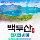 구구여행사 이미지