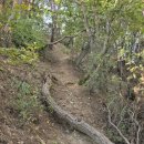 대성사 앞 이미지