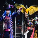 에코라이브난타 이미지