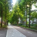 상도초등학교+사랑유치원 이미지