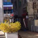 슈퍼복권나라 네이버블로그