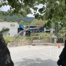 거목민박