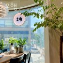 살롱,모행
