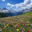 아지랑이 이미지