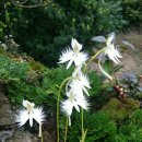 토담민박 이미지