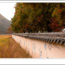 양동초등학교 이미지