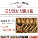 수삼센타5호 - 14479 | 수삼센타5호