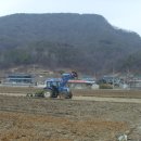 명지바람 이미지