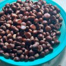 여주-0915 이미지