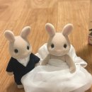 양귀비플라워 | 웨딩촬영 & 결혼식 소품 | 플라워 아크릴백 셀프 DIY 후기🌸 내돈내산 총비용 공개