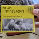 올리브 안전 | 니아르 피쿠알 오일케어 신선한 올리브오일 캡슐 추천 저속노화 식품 후기