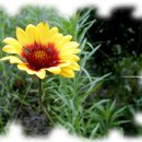 고척초등학교 이미지