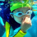 물나들이 이미지