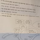 이호전기 | 신라스테이 플러스 이호테우 호텔 숙박 후기