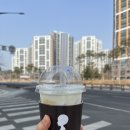 모리셔스브라운영종점 이미지
