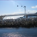 송도용궁구름다리 이미지