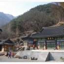 지리산산청와송 | 서백의 사찰이야기114 - 고려시대의 대찰로 5대 산문 중의 한 곳이였던 지곡사