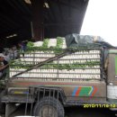 차진열농장 이미지