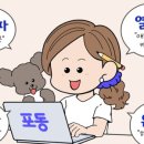 푸들민박 이미지