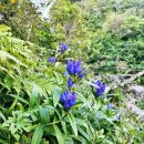 지리산농사꾼 - 산청군 동의보감로555번길 31 | 지리산농사꾼