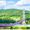 단양 시루섬&amp;기적의 다리하루 평균 3,500명 방문한 남한강 위 산책 다리 이미지