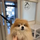 끌레르독 이미지